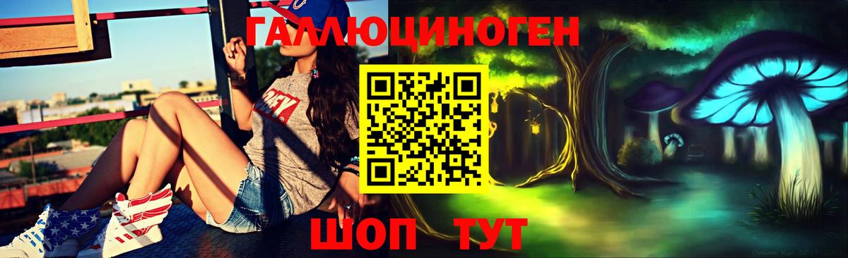 Галлюциногенные грибы Psilocybe Сургут